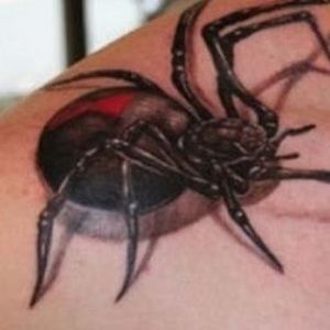 Meet your Posher, Corina